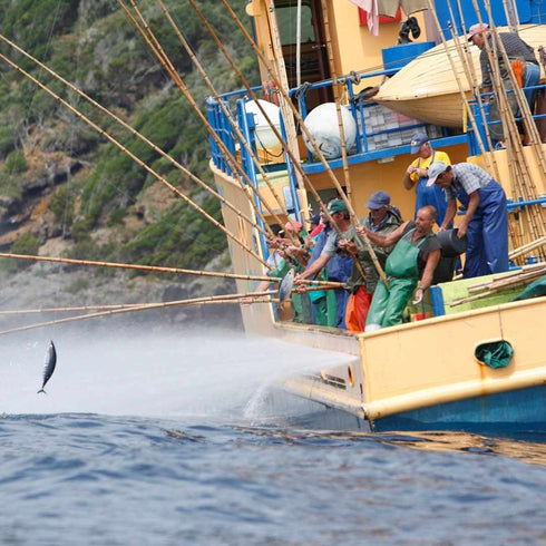 Azorean Tuna with peppers 120g