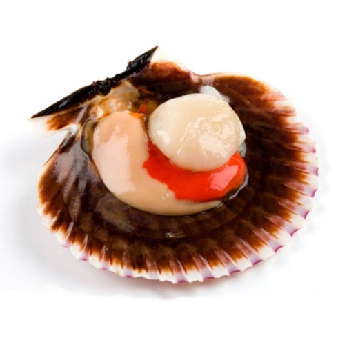 Premium Variegated Scallop "Zamburiñas" in galician sauce 115g