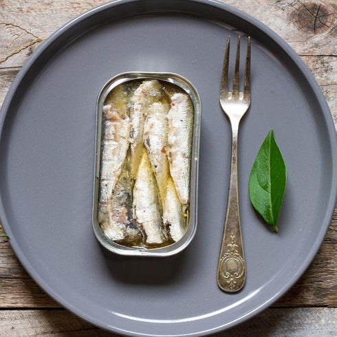 Pack of 5 Luças Portuguese Fish Preserves